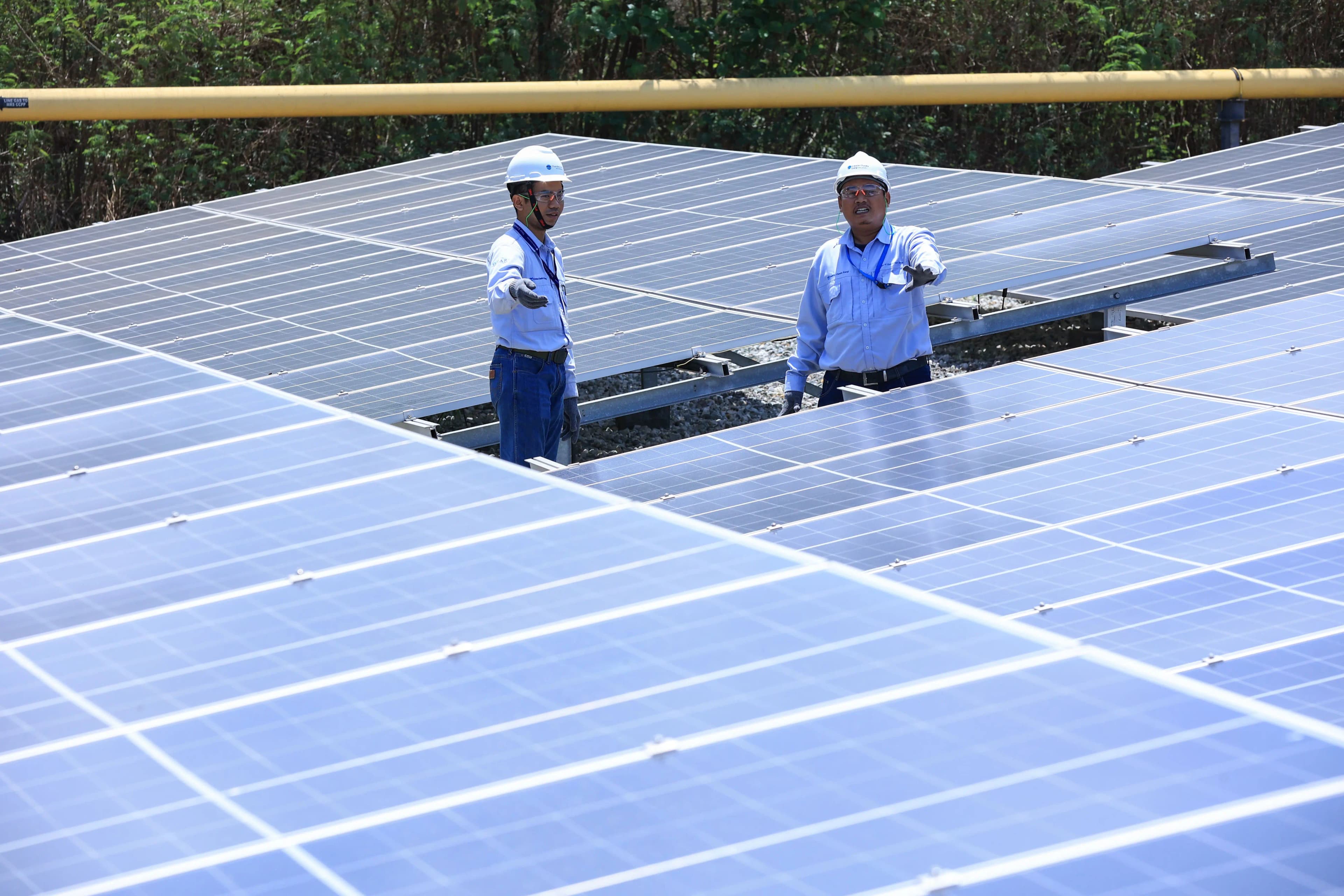 Product Image 3 Product Image 3