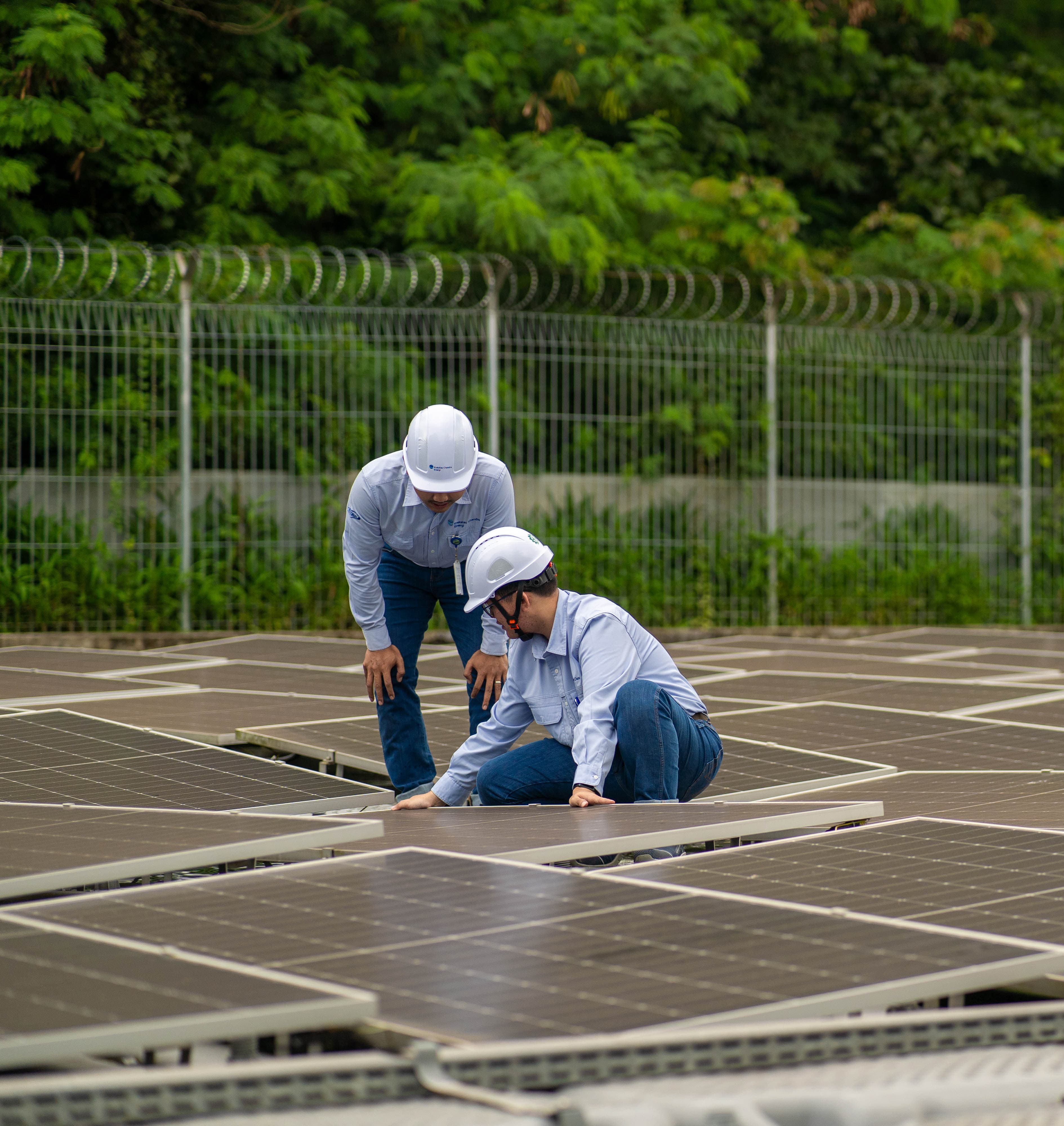 Feature Card Image 1 Feature Card Image 1